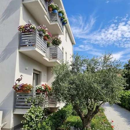 Apartment Degli Ulivi *